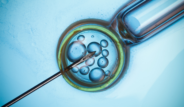 Oocyte Bank illustration