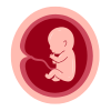 Oocytes Donated